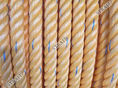 High performance polyester hybrid High performance polyester hybrid